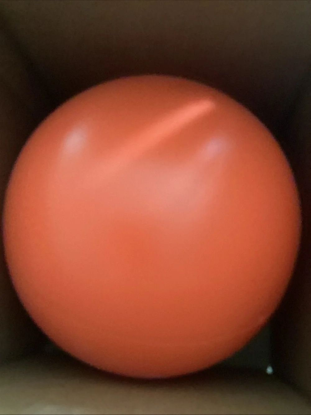 Indestructible Dog Ball